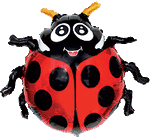 Balon foliowy 24" Biedronka