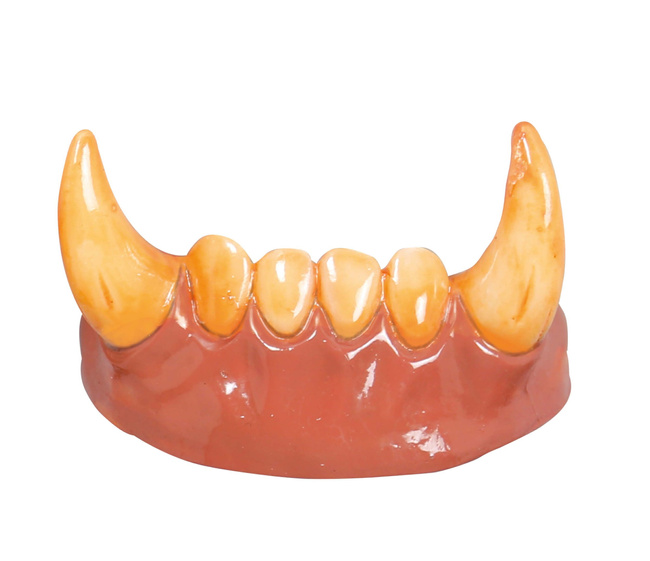 Szczęka Wilkołaka - wystające kły