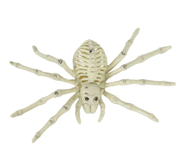 Dekoracyjny szkielet pająka 24cm