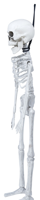 Wiszący szkielet 40cm