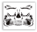 Tatuaż twarzy "Kościotrup"