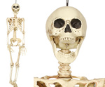 Szkielet ludzki 90cm