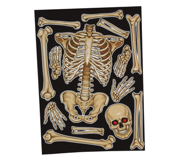 Naklejka na szybę / lustro Szkielet