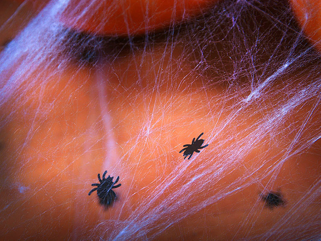 Konfetti "Pająki" 1,2x1,2cm Halloween 15g