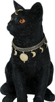 Kot cygański czarny 28cm