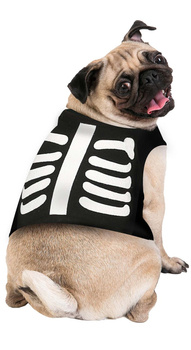 Ubranie dla psa - SZKIELET