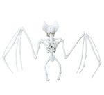 Dekoracyjny szkielet nietoperza