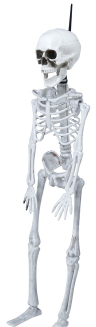 Wiszący szkielet 40cm