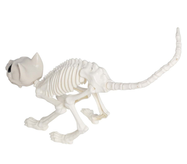 Dekoracyjny szkielet kota