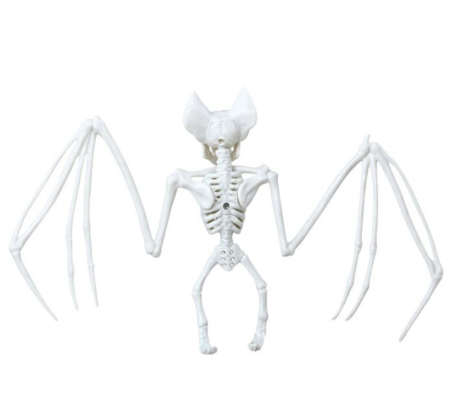 Dekoracyjny szkielet nietoperza