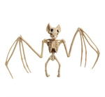 Dekoracyjny szkielet nietoperza