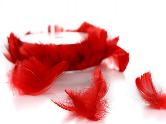 Piórka na drucie czerwone 10 m.