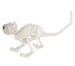 Dekoracyjny szkielet kota