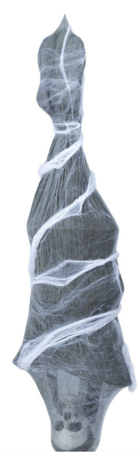 Dekoracyjny szkielet w kokonie