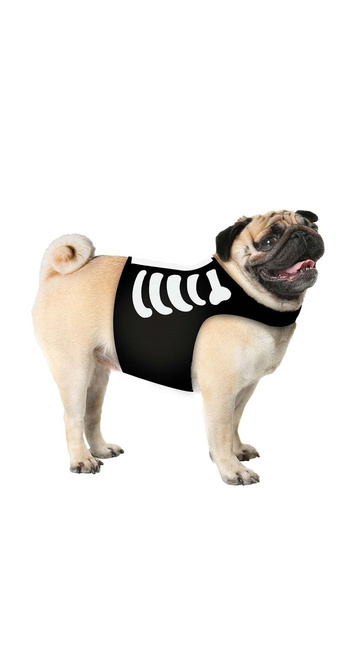 Ubranie dla psa - SZKIELET