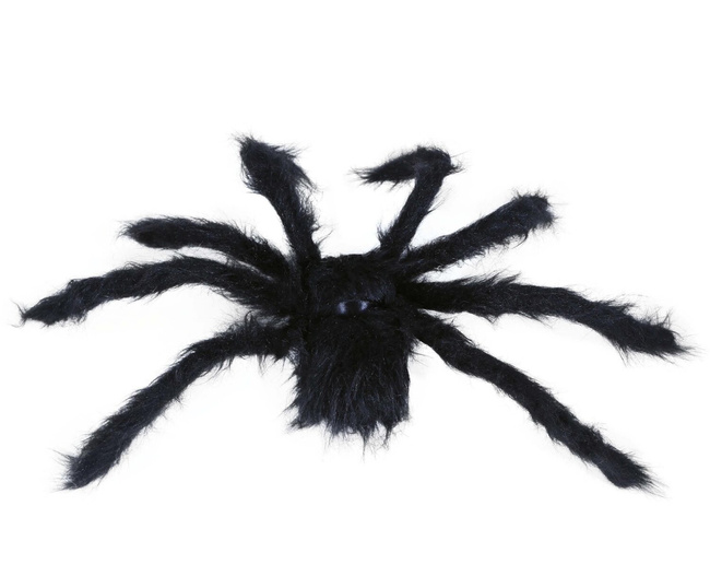 Pająk czarny 50cm