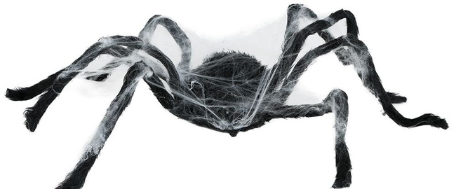 Pająk 80cm interaktywny czarny z pajęczyną