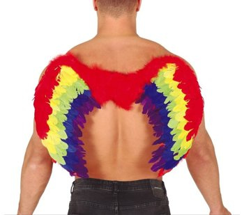 Skrzydełka piórkowe tęczowe 60x40cm