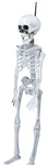 Wiszący szkielet 40cm
