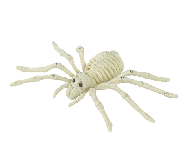 Dekoracyjny szkielet pająka 24cm