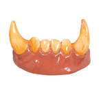 Szczęka Wilkołaka - wystające kły