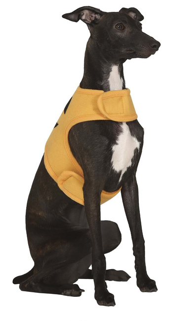 Ubranie dla psa - DYNIA