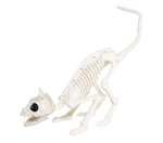 Dekoracyjny szkielet kota