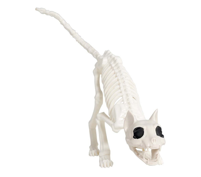 Dekoracyjny szkielet kota