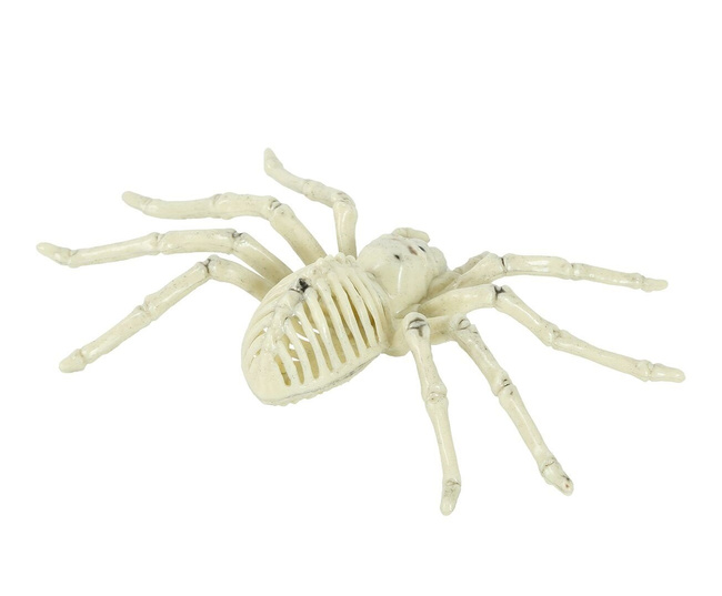 Dekoracyjny szkielet pająka 24cm